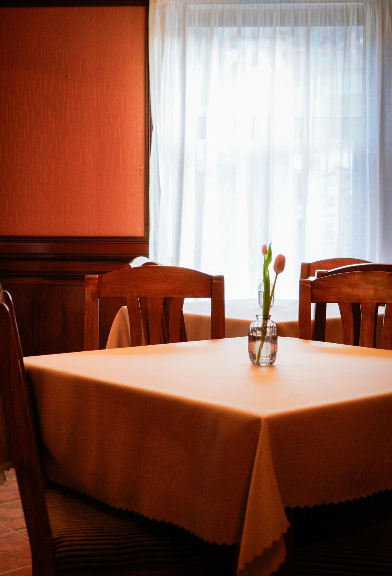 Bark - Hotel Brasov