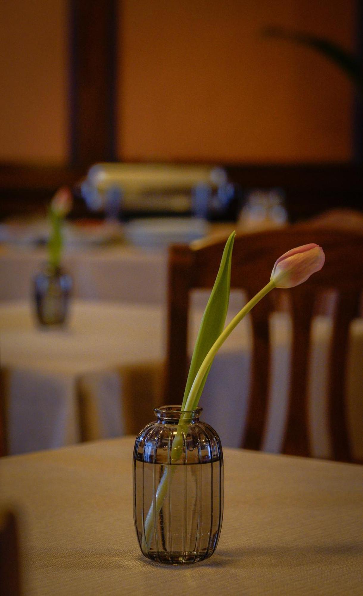 Bark - 3* Brasov