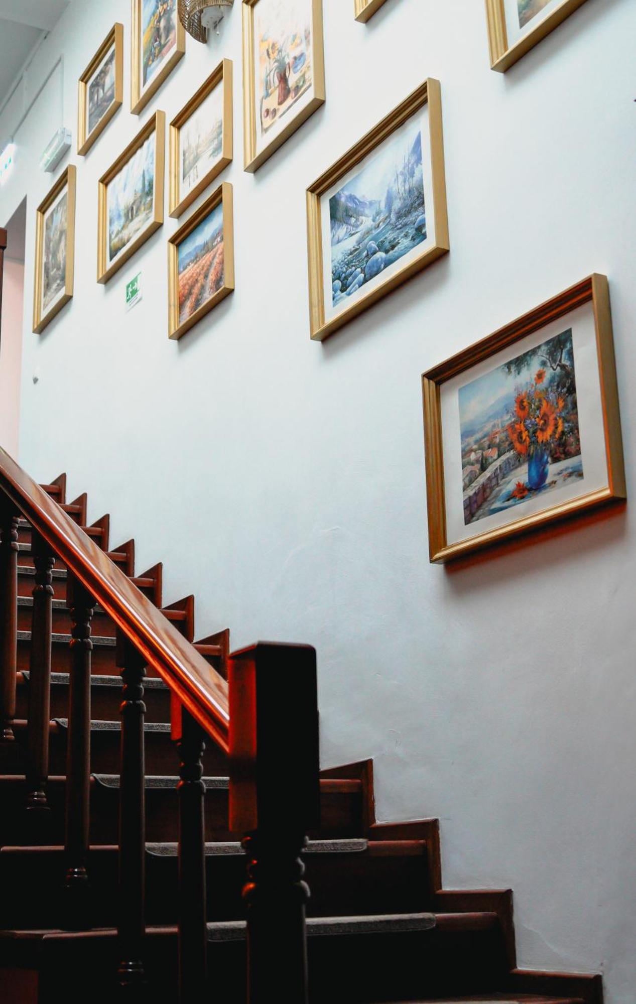 Bark - Hotel Brasov