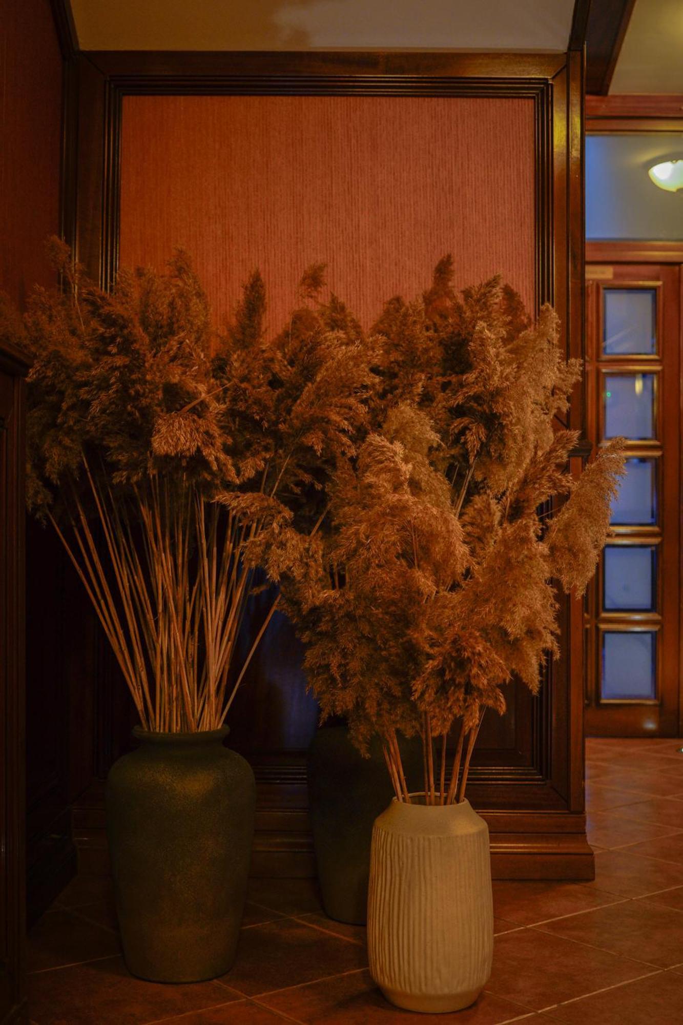 Hotel Bark - Brasov